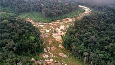 Mining is destroying Africa's "green lungs".