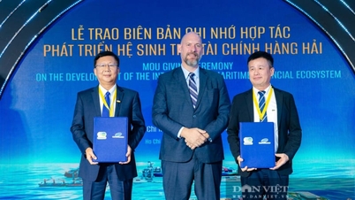Эксперты: Международный финансовый центр, не конкурируя с Дубаем, удовлетворяет потребность в размере 1,5 триллиона долларов.