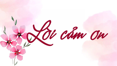 Lời cảm ơn của Báo và phát thanh, truyền hình Tuyên Quang