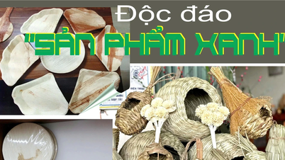 Độc đáo “sản phẩm xanh”