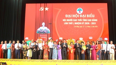 Cao Bang İl Yaşlılar Derneği Birinci Delegeler Kongresi, 2026-2031 Dönemi - Cao Bang Online Gazetesi