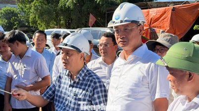 Setiausaha Parti Da Nang: Kelewatan dalam pembersihan tanah dan pengelakan tanggungjawab mesti ditangani.