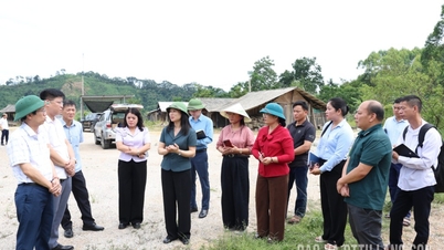Provincial People's Committee leaders inspect high-risk landslide areas in Tan Tien commune.