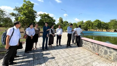 Bevarelse og fremme af værdien af ​​Truong Dinh-templet, et særligt nationalt historisk sted.