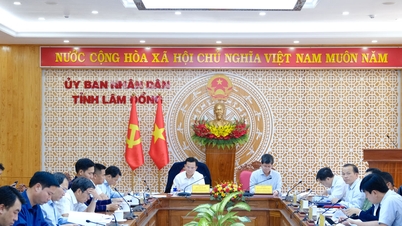 Lam Dong province links the task of disbursing public investment funds to the political future of its leader.
