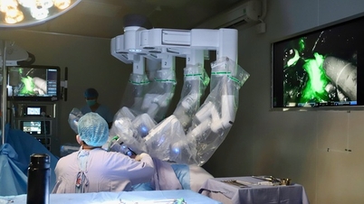Livmoderhalscancer: För samma sjukdom har varje patient en unik behandlingsstrategi.