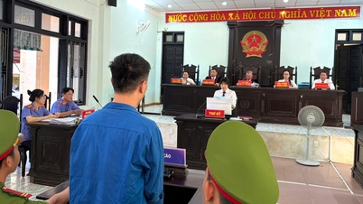 បុរសម្នាក់ត្រូវបានកាត់ទោសឱ្យជាប់ពន្ធនាគារ ១៤ ឆ្នាំពីបទឆបោកមនុស្សដោយសន្យាថានឹងជួយពួកគេទទួលបានវិញ្ញាបនបត្រកម្មសិទ្ធិដីធ្លី។