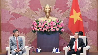 Majelis Nasional Vietnam secara aktif mengoordinasikan pelaksanaan perjanjian dan kesepahaman bersama yang dicapai oleh para pemimpin tingkat tinggi Vietnam dan India.