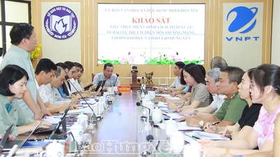 ការស្ទង់មតិលើការអនុវត្តគោលនយោបាយ និងច្បាប់ស្តីពីការការពារកុមារនៅក្នុងបរិយាកាសអនឡាញ។