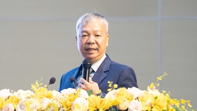 Điều động Hiệu trưởng, bổ nhiệm Phó hiệu trưởng Trường ĐH Quốc tế