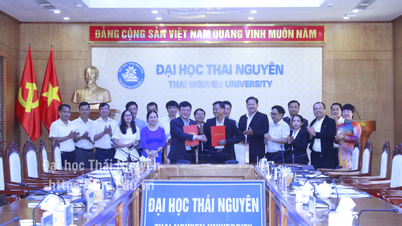 ມະຫາວິທະຍາໄລທາຍງວຽນ ເຊັນສັນຍາຮ່ວມມືກັບວິທະຍາໄລວິຊາຊີບ ແລະ ເຕັກນິກມິດຕະພາບ ວຽງຈັນ-ຮ່າໂນ້ຍ (ລາວ).