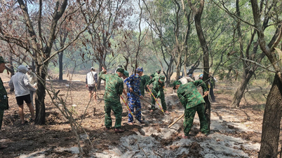 Ratusan orang dikerahkan untuk mengendalikan kebakaran hutan melaleuca di Quang Tri.