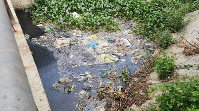 Setelah memantau 15 lokasi, pihak berwenang menyimpulkan bahwa kualitas air laut di sepanjang pantai Hung Yen semakin memburuk.