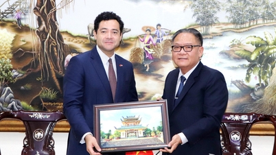 บริษัท Dong Nai มุ่งมั่นที่จะสร้างเงื่อนไขที่เอื้ออำนวยและส่งเสริมความร่วมมืออย่างยั่งยืนกับธุรกิจของฝรั่งเศส