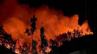 Масштабну лісову пожежу, яка вирувала два дні в Нгеані, взяли під контроль.