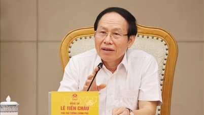 Le vice-Premier ministre Le Tien Chau a présidé une réunion sur le projet de plan de travail législatif.
