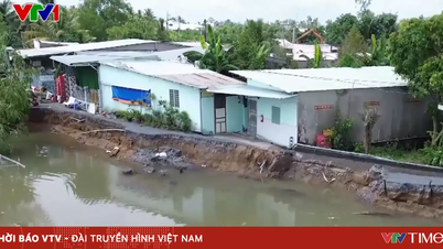 Residents of Can Tho City live in constant fear as the riverbanks are eroded.