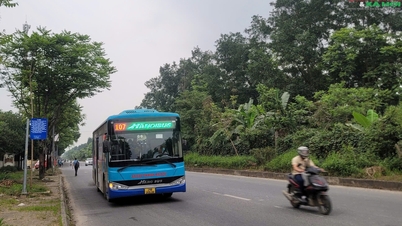 Începând cu 1 iulie, Hanoi va elimina abonamentele lunare de autobuz pe hârtie pentru a accelera digitalizarea transportului public. Unde își pot schimba oamenii abonamentele vechi cu unele noi și cum pot face acest lucru?