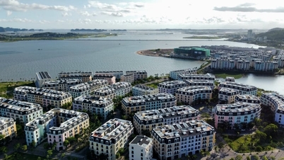 Quang Ninh's aspirations for 2050: A heritage city, a leading maritime economic hub.