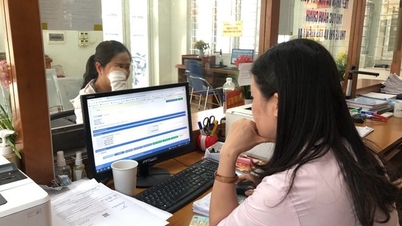 En el caso de funcionarios y empleados públicos que reciben una asignación diaria de 250.000 VND.