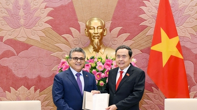 Majelis Nasional Vietnam selalu mendukung Pemerintah, kementerian, lembaga, dan daerah dalam mempromosikan kerja sama dengan Palestina.