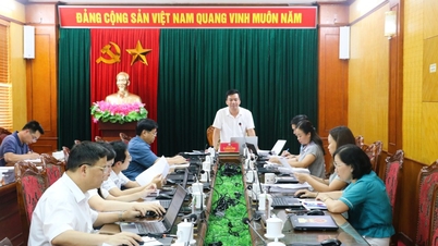 The Culture and Social Affairs Committee of the Provincial People's Council reviewed several draft resolutions to be submitted to the mid-year regular session.
