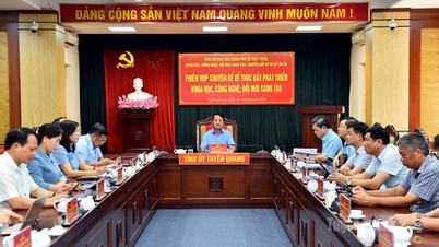 Phát triển khoa học công nghệ phải xuất phát từ thực tiễn và lợi thế của từng địa phương