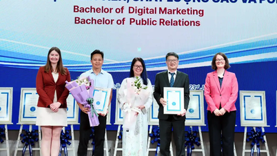 Universitas Ekonomi Nasional memiliki 21 program lainnya yang telah menerima akreditasi internasional.
