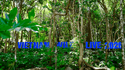 Vietnam Wild Live by VTV: Tutustuminen monimuotoiseen ekosysteemiin Con Daon kansallispuistossa