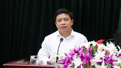 Bac Ninh: Partilhando soluções para o desenvolvimento de áreas montanhosas e de minorias étnicas.