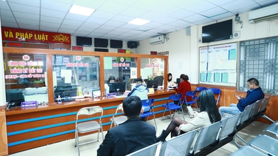 Jawatankuasa Parti Bandar Hanoi mengarahkan pengendalian kes yang melibatkan penolakan untuk mengesahkan kebenaran bagi seorang wanita berusia 97 tahun.