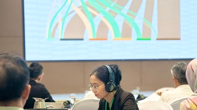 Asia-Pacific region accelerates the reconstruction of sustainable agricultural chains.