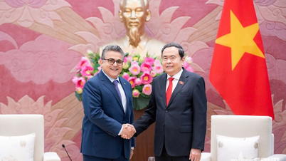 Ketua Majelis Nasional Tran Thanh Man menerima Duta Besar Negara Palestina untuk Vietnam.
