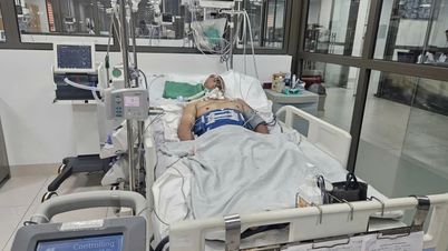 Rescue workers who suffered severe head injuries in accidents.