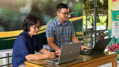 Lancement du programme de culture intelligente du café pour la campagne agricole 2025-2026.