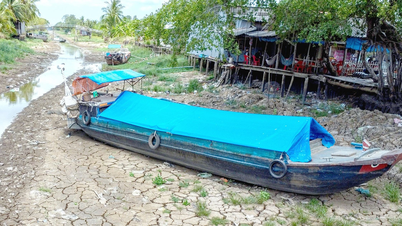 El Nino không chỉ gây nắng nóng khô hạn mà còn nguy cơ bão mạnh tại Việt Nam