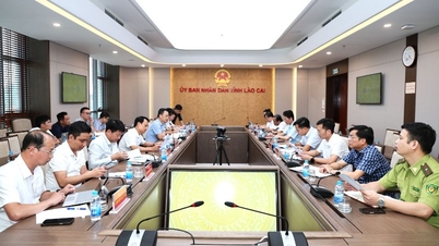 Lai Chau - Lao Cai: Koordinace s cílem překonat obtíže a urychlit postup projektu silničního tunelu v průsmyku Hoang Lien.