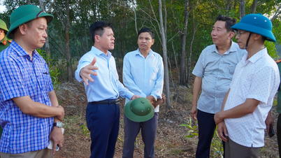 Bố trí lực lượng túc trực nhằm ngăn chặn đám cháy bùng phát trở lại