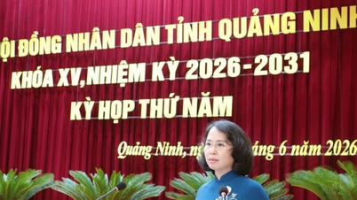 The Quang Ninh Provincial People's Council approved 8 important resolutions.