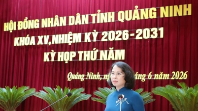 The 5th session of the 15th Quang Ninh Provincial People's Council adopted 8 important resolutions.