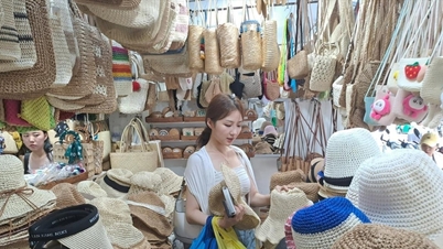 Le Centre de promotion industrielle de Da Nang étend l'ampleur de son soutien.