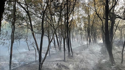 Provinsi Quang Tri telah mengendalikan dan memadamkan sepenuhnya dua kebakaran hutan berskala besar.