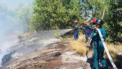 Konsentrasikan kekuatan untuk mengendalikan kebakaran besar di hutan bakau.