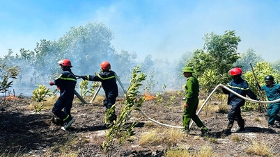 Intense heatwave causes a series of forest fires in Quang Tri province.