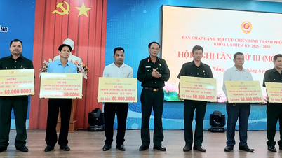 Da Nang Veterans Association: Gräsrotsorganisationer stärkta och omorganiserade