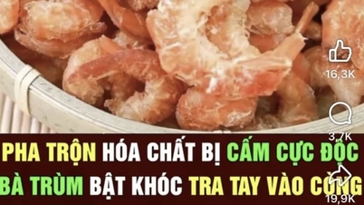 Xử lý thông tin bịa đặt về 'tôm khô làm từ cao su non'