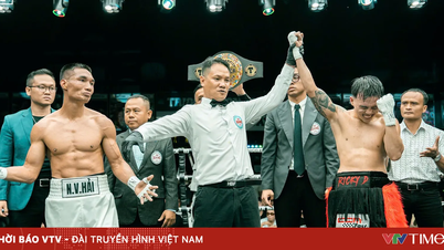HBF accepterer klagen, Trigger Boxing bistår Nguyen Van Hai i at appellere til ABCO.