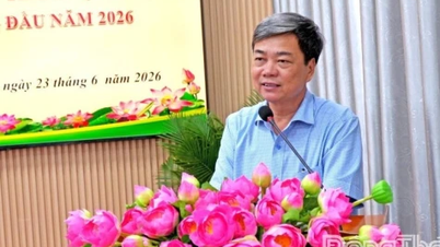 Thanh My Kommunes partikomité: Fokuserer på at lede den effektive implementering af socioøkonomiske udviklingsopgaver.