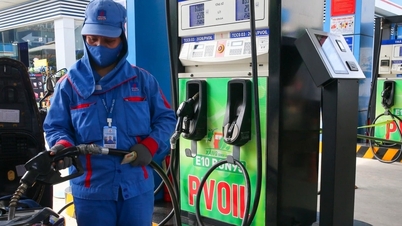 Giá xăng dầu hôm nay 24/6: GIANGNAMPETROL, Petrolimex, PVOIL Mipec