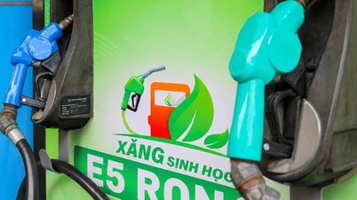 Giá xăng dầu hôm nay 24/6: Bảng giá xăng dầu tại Petrolimex, PVOIL, Mipec, Thalexim